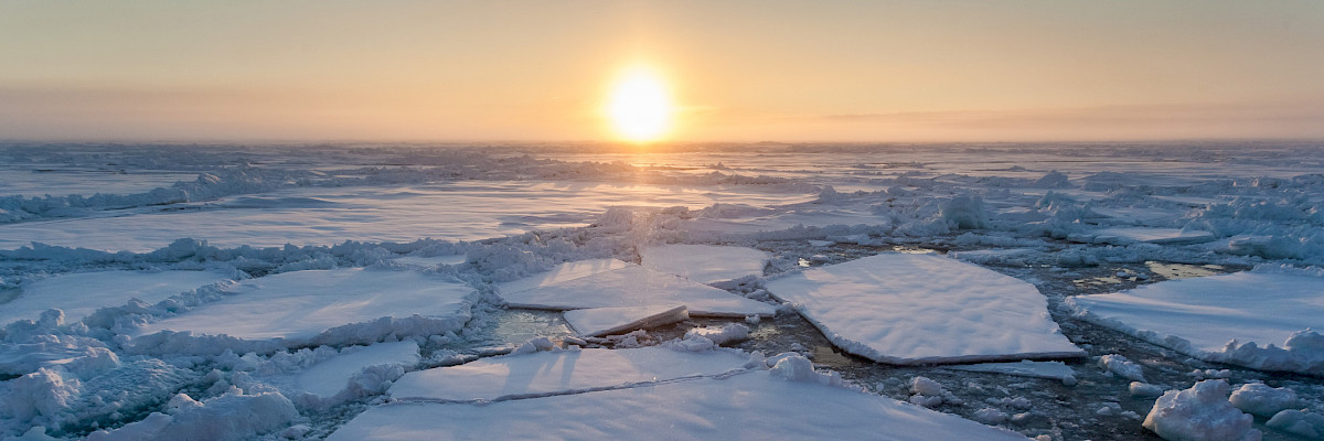 Mario Hoppmann / AWI