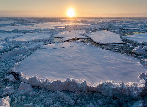 Mario Hoppmann / AWI