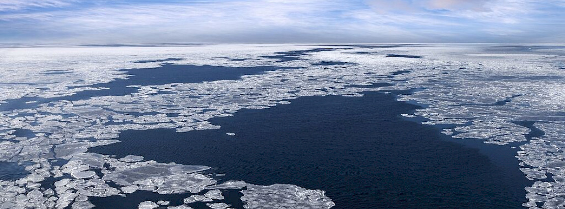 Sea ice in the Arctic.