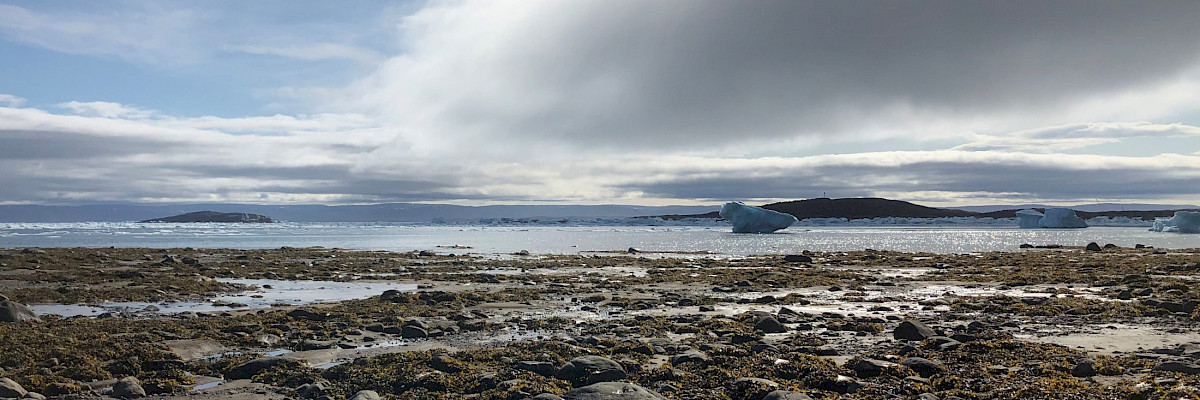 Photo: Mathieu Parker