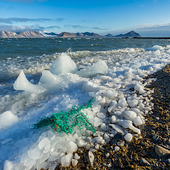 Plastic litter on an Arctic beach.