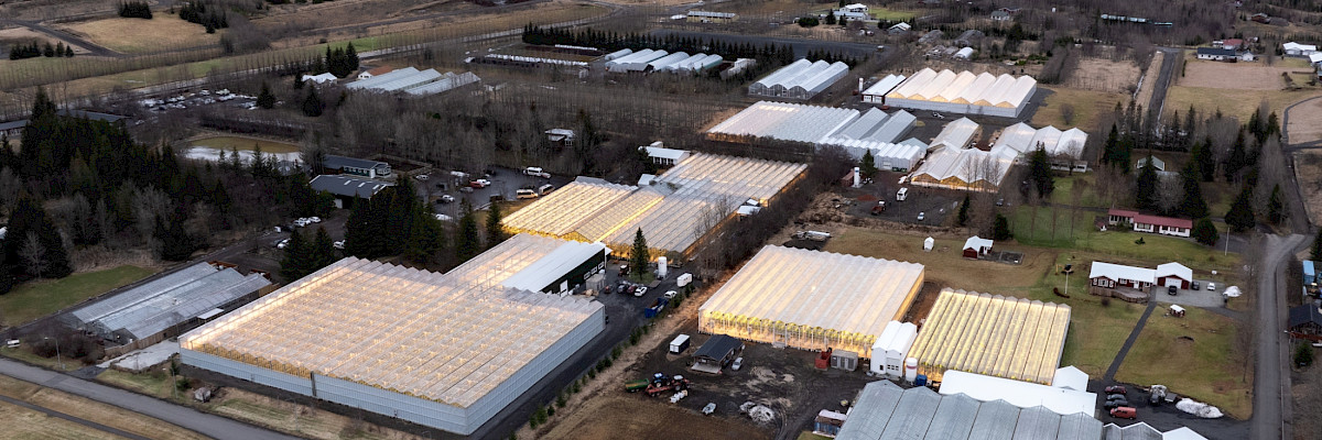 Geothermal greenhouse in Reykholt, Iceland