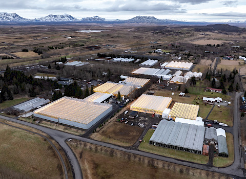 Geothermal greenhouse in Reykholt, Iceland