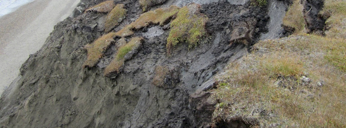 Permafrost erosion. Photo: USGS / M. Torre Jorgenson