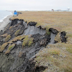 Permafrost erosion. Photo: USGS / M. Torre Jorgenson