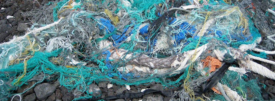 LCDR Eric Johnson / NOAA