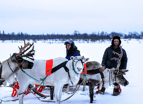 Photo from ACAP's Tundra Project