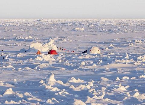 Camp on ice floe