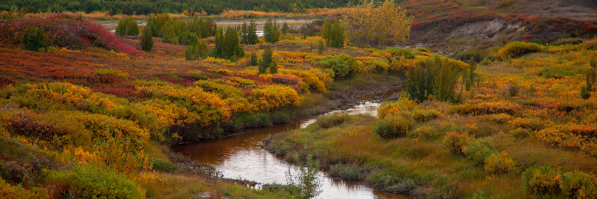 Evgenii Mitroshin / iStock