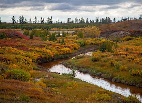 Evgenii Mitroshin / iStock