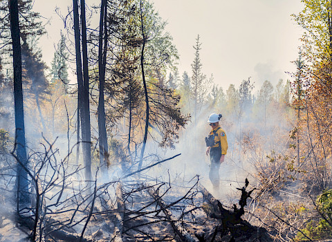 Fire in Wood Buffalo Complex, Canada